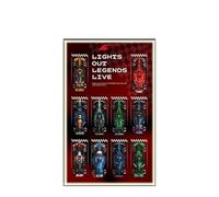 Display Wallboard for Lego 77242-77251 F1 Series Racing Car - Wall Mount Display Stand Art Wall Mount Frame for Racing Car Building Set - 50 x 80 CM (USB LED Light B)