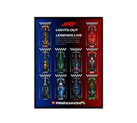 Display Wallboard for Lego 77242-77251 Speed Formula 1 Racing 10-Piece Set, Wall photo frame, Wall Mount Display Stand Art Wall Mount Frame,(Model not Included)