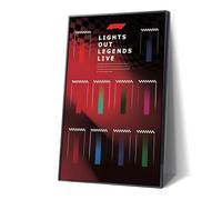 Display Wallboard for Lego F1 Racing Car 77242-77252, Wall Mount Display Stand Art Frame for Speed Champions, 50 × 80 cm (No Model)(Type B,With LED Light)