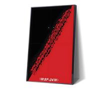 Display Wallboard for Lego F1 Racing Car 77242-77252, Wall Mount Display Stand Art Frame for Speed Champions, 50 × 80 cm (No Model)(Type E,Without LED Light)