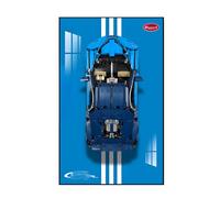 Display Wallboard for Lego Technic Bugatti Chiron 42083 Race Cart, Adult Decorative Painting, Gift for Lego Lovers (Model Not Included) (J)