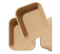 Disposable Cat Litter Box (3Pack),Disposable Kitten Litter Boxes,Small Thicken Animals Litter Box,Easy to Clean,Made of 100% Paper - Use Alone or As Box Liners