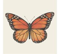 Disposable Dinner Paper Cocktail Napkins - Decorative Beverage Napkins for Parties, Weddings, Graduation - 5 inches by 5 inches Pack of 20 (Butterfly)