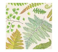 Disposable Dinner Paper Cocktail Napkins - Decorative Beverage Napkins for Parties, Weddings, Graduation - 5 inches by 5 inches Pack of 20 (Fern)