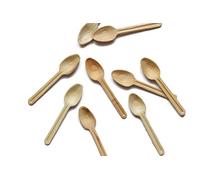 DISPOSABLE GREEN® | Pack of 25 Spoons | DEEP Head | COMPOSTABLE, BIODEGREADABLE, ECO Friendly| Strong and Sturdy | 25 PCS