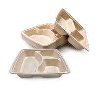 DISPOSABLE GREEN - Square Bagasse Compartment Plates, 3-Compartment Divided Plates for Hot, Cold, Wet & Oily Food, Portion Control, 23cm x 5cm, 25-Pcs