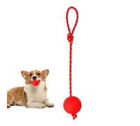 DISPRA Dog Ball | Interactive Rubber Balls - Rubber Elastic Balls for Dogs, Chew Toys for Dogs Medium and Large Sizes