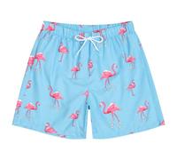 Dissolving Swim Trunks Prank Stuff Funny Shorts Gag Gifts for Brother Boyfriend Bachelor Beach Party in The Swimming Pool, Blue Flamingo, XXL