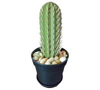 dissot Cactus Toothpick Holder 3D Printed Cactus Toothpick Dispenser House Plant Toothpick Cactus Holder,A