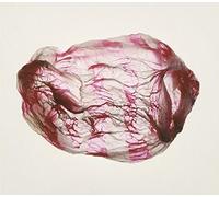 Distant Sounds Of Summer by Susumu Yokota