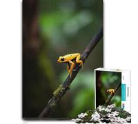 Distinctive Jigsaw Puzzle for Adults, Golden Poison Dart Frog, 500 PCS