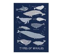 Distinctive Jigsaw Puzzle for Adults, Types of Whales Fishes, 300 PCS