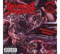 Distorted Impalement - Straight in Your Face