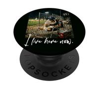 Distressed I Live Here Now HAMSTER PIG Baseball Cute PopSockets Adhesive PopGrip