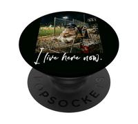 Distressed I Live Here Now RABBIT Baseball Cute Animal PopSockets Adhesive PopGrip