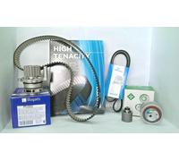 DISTRIBUTION KIT + WATER PUMP + BELT SERVICES FOR VW - POLO 1.4 TDI KW55
