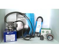 Timing Belt & Water Pump Kit fits VW TRANSPORTER Mk5 1.9D 03 to 09 Set INA New