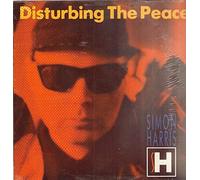 Disturbing the peace / Vinyl record [Vinyl-LP]