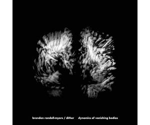 Dither - Dynamics of Vanishing Bodies