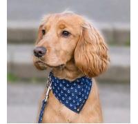 Ditsy Pet Navy Anchor Bandana Large