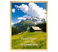 Ditwis 30x40 Picture Frame Gold, 16x12 inch Poster Frame for Horizontal or Vertical Wall Display in Living Room, Office, Gallery