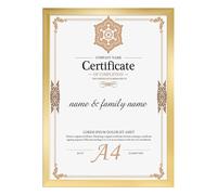 Ditwis A4 Picture Frame Gold, A4 Photo Frame for Certificates, Documents, Artwork and Photos (21x29.7 cm), Modern Frame for Living Rooms, Bedrooms and Offices