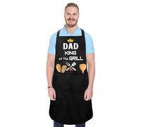 Diulinep Dad Aprons Dad Birthday Gifts Dad Gifts Dad BBQ Gifts For Dad Birthday Gifts For Dad Daddy Birthday Gifts Daddy Gifts Presents For Dad New Dad Gifts Dad Gifts From Daughter
