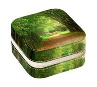 Diusye Small Jewellery Box for Ring Earring Necklace Bracelet Bangle, Mini Travel Jewelry Case Storage Organiser for Women Girls Gifts - Autumn Green Road