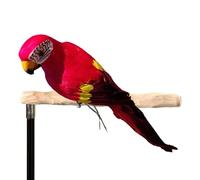 Diuyzoc Artificial Parrot | Multifunctional Parrot Sculpture,Yard Ornaments For Home Office Private Garden Zoo Public Park Holiday Party And Wedding Ceremony