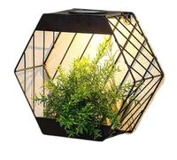 DIVAS SPIRITUAL Hexagonal Wall Planter Solar Light Outdoor Garden Decorative Lighting