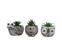Divas World Animal Artificial Plant Pots 3 Piece Set with Snail, Hedgehog, and Owl shape Miniature Cement Planters for Indoor & Outdoor Garden Patio Decor (Pack of 3)
