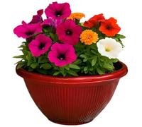Divas World Beeline Bowl 12-Inch Planter - Decorative Round Plastic Flower Pot with Drainage Hole - 5.67L Capacity - Lightweight Outdoor Plant Container - Red - Single or Pack of 2 Available (1, Red)