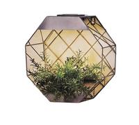 Divas World Grey Hexagonal Planter (grey)