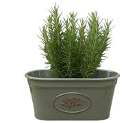 Divas World Olive Trough Planter 38cm Grey Rectangular Flower Pot Lightweight Durable Indoor Outdoor Decorative Window Box Herb Garden Balcony Plant Container