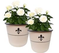 Divas World Pack of 2 White Metal Look Planters 30cm Decorative Garden Flower Pots with Black Trim and Emblem - 25cm Height Round Indoor Outdoor Plant Containers for Patio, Balcony, Home Décor