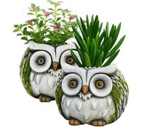 Divas World White Faced Owl Cement Planter 15cm Animal Shaped Garden Pot Heavyweight 1.7kg Durable Outdoor Indoor Decorative Plant Holder Cute Rustic Ornament (2)