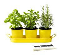 DIVCHI 3PCS Metal Herb Planter Pots with Tray & Chalk Labels Indoor Windowsill Garden Set for Kitchen Basil Rosemary Premium Decorative Flowerpots with Removable Tray & Customisable Labels (Yellow)