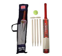 DIVCHI Kids Cricket Set Rubber Grip Wooden Bat With 4 Stumps & And Soft Ball In Mesh Carry Bag (Size