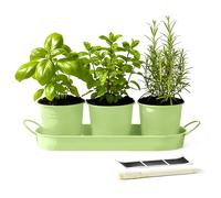 DIVCHI Metal Herb Planter Pots Set of 3 with Tray & Chalk Labels - Indoor Herb Garden Kit for Kitchen Windowsill - Decorative Herb Pots for Basil, Mint, Rosemary - Indoor & Outdoor Use (Green)