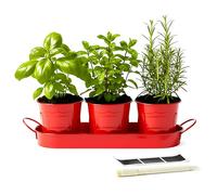 DIVCHI Metal Herb Planter Pots Set of 3 with Tray & Chalk Labels - Indoor Herb Garden Kit for Kitchen Windowsill - Decorative Herb Pots for Basil, Mint, Rosemary - Indoor & Outdoor Use (Red)