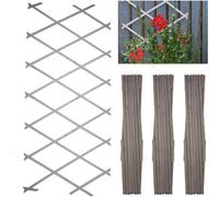 Divchi Wooden Trellis Expandable Garden Wall Trellis For Climbing Plants Decoration & Plants Partitioning Pack Of 3 180Cm X 30Cm