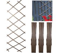 Divchi Wooden Trellis Expandable Garden Wall Trellis For Climbing Plants Decoration & Plants Partitioning Pack Of 3 Oak Wood