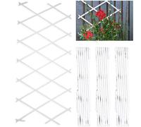 Divchi Wooden Trellis Expandable Garden Wall Trellis For Climbing Plants Decoration & Plants Partitioning Pack Of 3 White