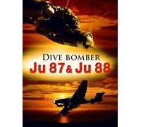 Dive Bomber Ju 87 and Ju 88