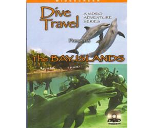 Dive Travel: Bay Islands [DVD] [2008] [Region 1] [US Import] [NTSC]