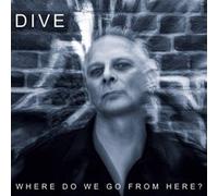 Dive – Where to We Go from Here?