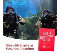 Dive with Sharks at Skegness Aquarium, Shark Diving Experience