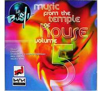 DIVERS ARTISTES/THE DISCO FREAKS/NALIN KANE/NAVIGATORS - LA BUSH MUSIC FROM THE TEMPLE OF HOUSE VOL 5