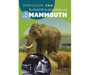 Divers la Deuxieme Vie & le Reveil du Bebe Mammouth