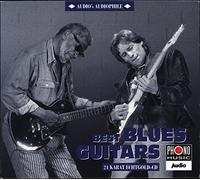 Diverse (Blues) - Audio's Audiophile Vol. 6 - Best Blues Guitars [Gold CD]